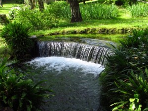 giardino di ninfa_2